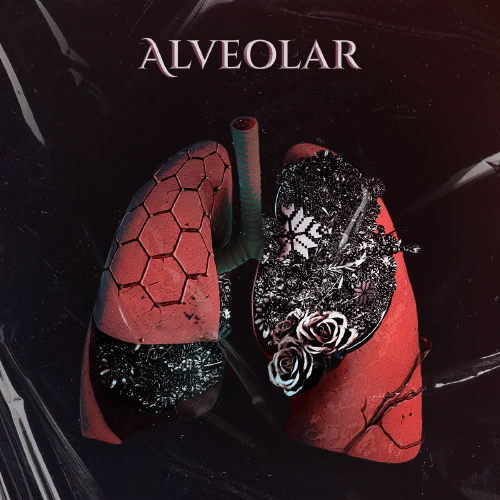 Alveolar album's cover